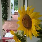 Maison Cirmi *