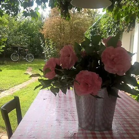 Maison Cirmi Holiday home *