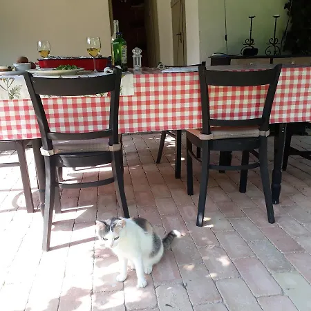 Holiday home Maison Cirmi