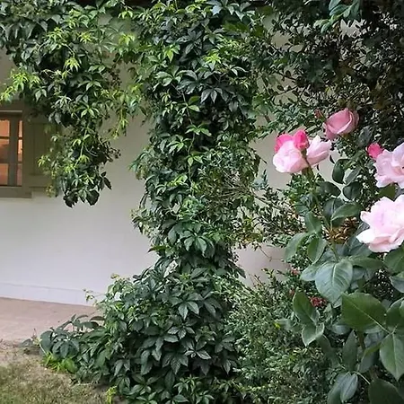 Prázdninový dům Maison Cirmi Szabadhidveg