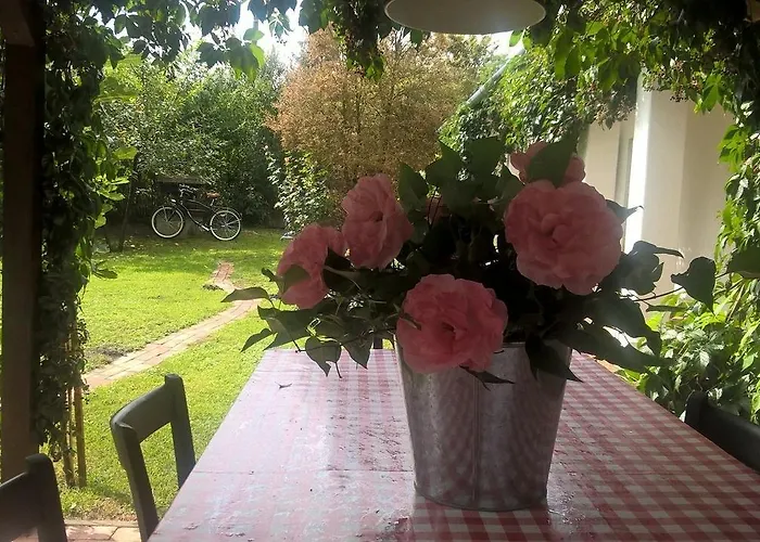 Maison Cirmi Vakantiehuis *