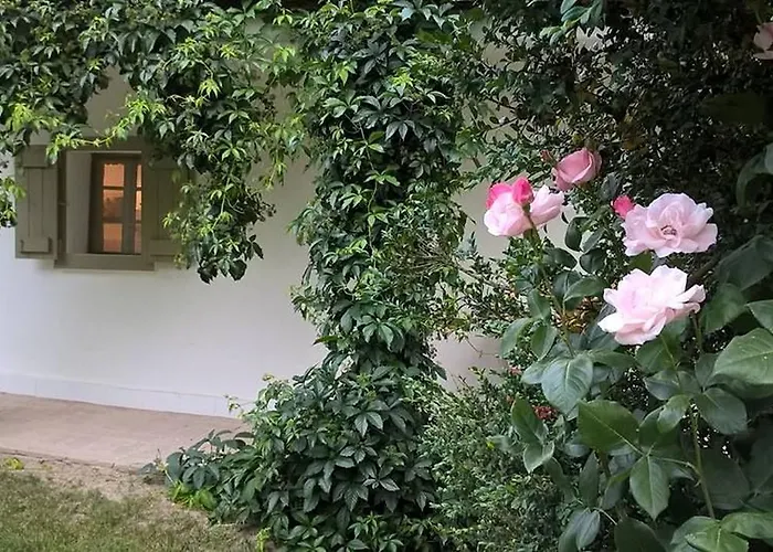 Vakantiehuis Maison Cirmi Szabadhidveg